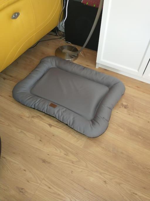 Schicke Hundefreundliche Wohnung Alsheim Eksteriør bilde